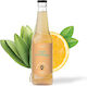 Băutură răcoritoare Afine cu carbonatare, Organic 5104 250ml
