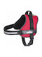 Hobbydog R4 Sagka Julletta Red