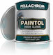 Pellachrom Varnish Colour Paintol 0.75lt 160 Shiny