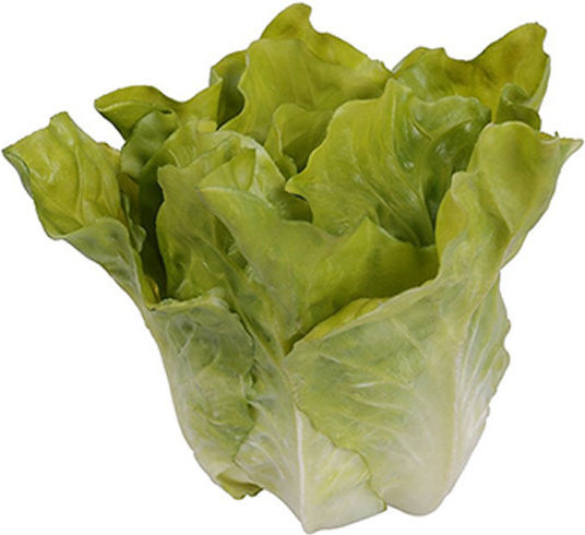 Decorative Green Lettuce Raki 14x12xh14cm