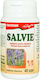 Sage 40 Capsule Favisan