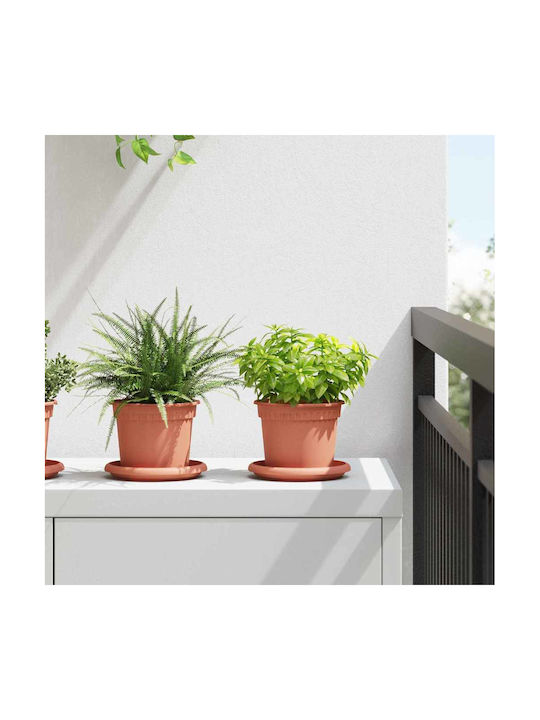 vidaXL Set 6 Ghivece Plastice Light Terracotta