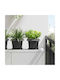 vidaXL Set 6 Töpfe Kunststoff Black
