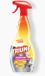 Triumf Καθαριστικό Spray Φούρνου 500ml 56570