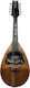 Acoustic Mandolin