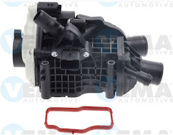 Thermostat Grpoup Psa Ford 460435
