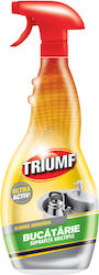 Triumf Αλοιφή Γυαλίσματος Μετάλλων 500ml