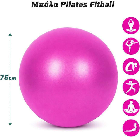 Fitball Ball Pilates 75cm in Pink Color