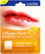 Mango Lip Balm