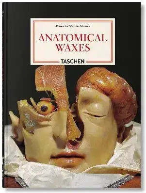 45th Edition Anatomical Waxes 9783754402177