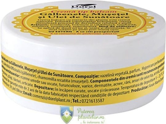 Dorel Plant Calendula Chamomile and St John's Wort Oil for Healing 100ml