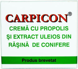 Elzin Plant Propolis Cream with Oily Extract from Conifer Resin Κρέμα Σώματος 1τμχ Elzin Plant Propolis Cream with Oily Extract from Conifer Resin Κρέμα Σώματος 1τμχ