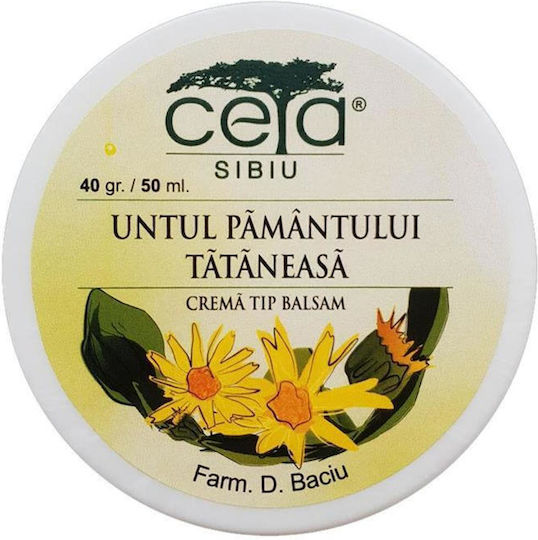 Ceta Sibiu Unguent Cu Symphyti Și Pulmonaria Cremă Pentru Vânătăi 40gr