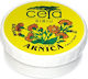 Ceta Sibiu Arnica Κρέμα για Μώλωπες 20gr