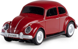 Carson Beetle Carson Beetle