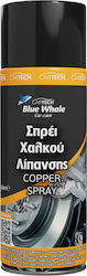 Cartech Σπρέι 450ml 06747