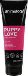 Animology Puppy Love Shampoo 250 Ml