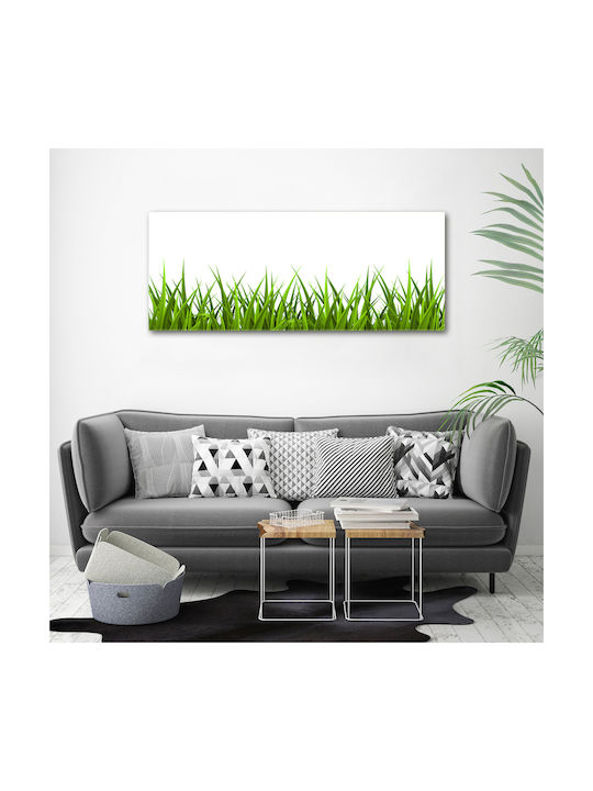 Panou De Perete Pânză Potrivit Pentru Decor Permanent Iarbă 125x50 Cm