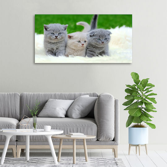 Wandbild Segeltuch Haus & Büro Drei Katzen Oben Eine Decke 100x50 cm