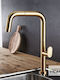 Armando Vicario Eva Kitchen Counter Faucet with Pull-Out Spray Bronze