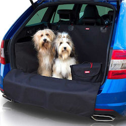 Trunk Cover Trunk Cover