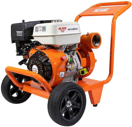 Ruris 300xr2019 Cu o singură fază Pompa de presiune pentru apă cu rezervor Comerț electronic de 3.6lt litri 13hp