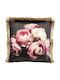 Kare Design Μαξιλάρι Καναπέ Blush Roses Πολύχρωμο 45x45εκ.