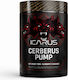 Icarus Nutrition Cerberus Pump Ειδικό Συμπλήρωμα Διατροφής 380gr Blueberry