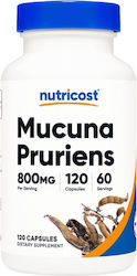 Nutricost Mucuna Pruriens 800mg 120 Capsule
