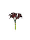 Bouquet Lilium Burgundy 8 Flowers 18x17x35cm 12/144pcs