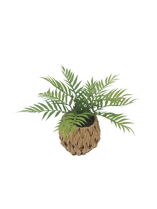 Изкуствено растение в саксийка Fern Пластмасово...