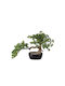 Künstliche Pflanze im Topf Bonsai Plastik Grün 45cm Marhome