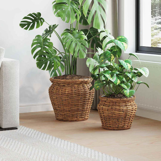 vidaXL Κασπώ Rattan Καφέ 2τμχ