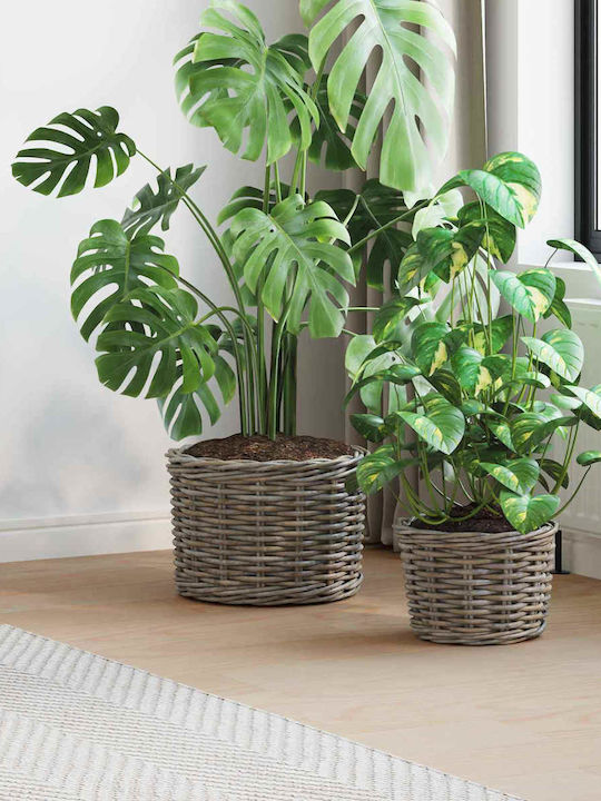 vidaXL Κασπώ Rattan Γκρι 2τμχ
