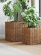 vidaXL Planter Rattan Brown
