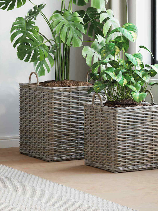 vidaXL Κασπώ Rattan Γκρι 2τμχ