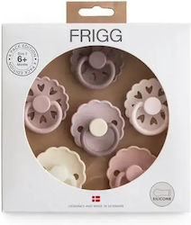 Frigg Πιπίλες Σιλικόνης Ροζ για 6-18 μηνών 6τμχ Frigg Πιπίλες Σιλικόνης Ροζ για 6-18 μηνών 6τμχ