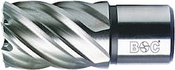 Hss Carrot Co8% Weldon Shank 3/4'' Length 30 Mm Size 19.0