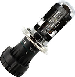 CarGuard Lampă H4 Xenon Alb natural CarGuard Lampă H4 Xenon Alb natural