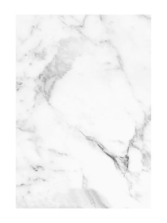 3D Decorative Wall Panel PVC 280cm x 122cm x 0.3cm Bianco Carrara SBC101