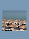 Wicker Heavy-Duty Square Beach Parasol 9 Beaufort 210x210cm