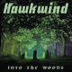 Hawkwind Into Woods 1