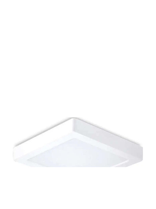 Metanor Square LED Panel 12W with Natural White Light 4000K