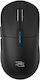 Proove Raider Gaming Gaming Maus Schwarz