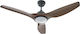 Ceiling Fan with Light Fixture Black