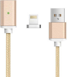 USB-A към Lightning 1м