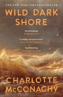 Wild Dark Shore Charlotte Mcconaghy Canongate Books