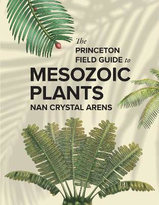The Princeton Field Guide To Mesozoic Plants Nan Crystal Arens Princeton University Press