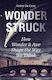Wonderstruck: How Wonder And Awe Shape The Way We Think Helen De Cruz Princeton University Press