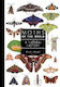 Moths Of The World: A Natural History David L. Wagner Princeton University Press